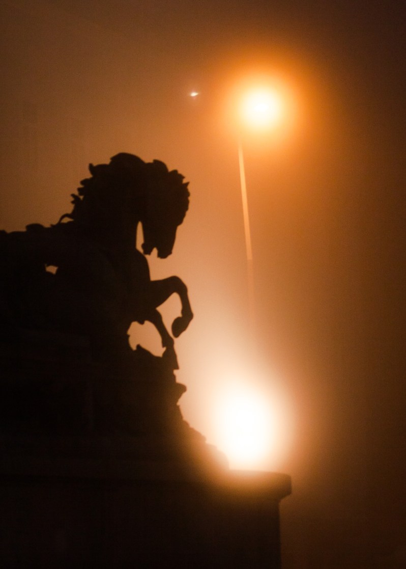 12513986_10208319711936033_7408310178331936254_o